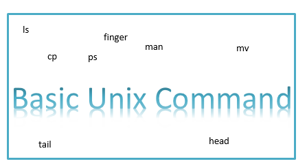 basic unix command