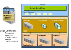 oracle database architecture