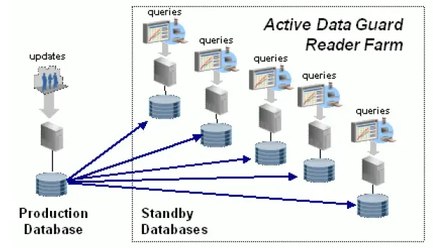 Архитектура Oracle RAC ASM Active data Guard. Oracle Standby database. Охрана data. Oracle data Guard broker. База данных актив
