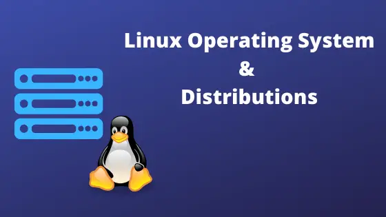 linux-operating-system-and-distributions-techgoeasy