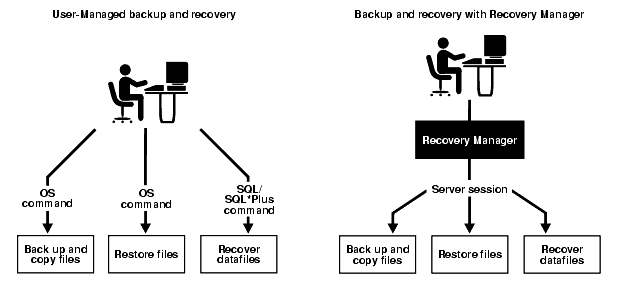 Recovery Manager(RMAN)