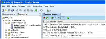 How To Find The Oracle Database Version And Version Of Various Oracle Utilities Techgoeasy