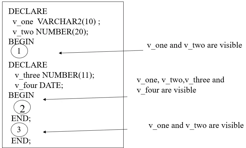 What Is Oracle PLSQL Variable Techgoeasy